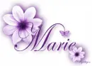 Purple Flower - Marie