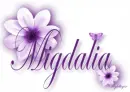 Purple Flower - Migdalia