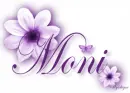 Purple Flower - Moni