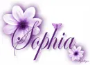 Purple FLower - Sophia