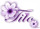 Purple Flower - Tito