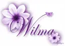 Purple Flower - Wilma