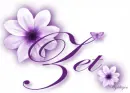 Purple Flower - Zet