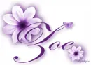 Purple Flower - Zoe