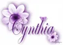 Purple Flower - Cynthia