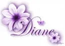 Purple Flower - Diane