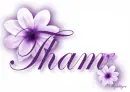 Purple Flower - Tham