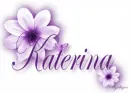 Purple Flower - Katerina