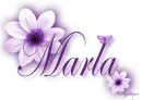 Purple Flower - Marla