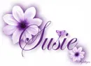Purple Flower - Susie