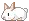 White rabbit