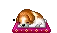snoozing dog