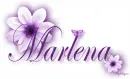 Purple Flower - Marlena