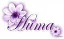 Purple Flower - Huma