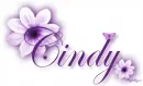 Purple Flower - Cindy