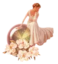 Lady