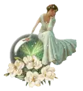 Lady