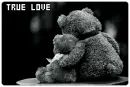 True Love teddy <3 :3