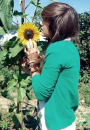 Looking
