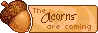 ACORNS ARE COMING