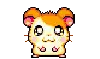 Hamtaro