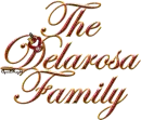 San Francisco 49ers swinging heart charm delarosa