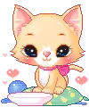 lovely cat