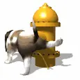 pipicu