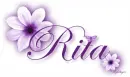 Purple Flower - Rita