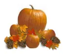PUMPKINS