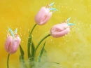 Tinkerbell in Tulips