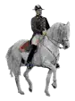 Dressage Rider