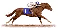 Race Horse