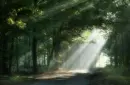 sun
