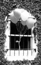 white ballons