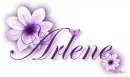 Purple Flower - Arlene