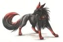 dark wolf