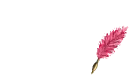 Sumax Feather Quill Pen (Pink)