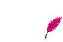 Sakinah Feather Quill Pen (Hot Pink)