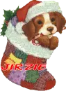 Dog in Christmas Stocking - Jirzie