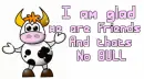Friends no bull