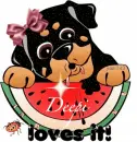 Doggy and watermelon-Deepi