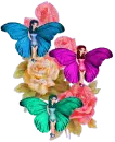 Butterfly Faeries