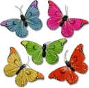 BUTTERFLIES