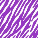 Purple zebra background