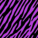 Purple zebra background