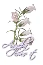 White ~ Angela