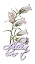 White ~ Alicia