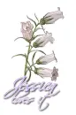 White ~ Jessica