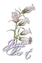 White ~ Jirzie